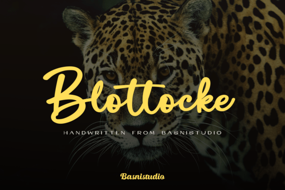 Blottocke: A Bold Handwritten Font