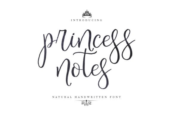 Princess Notes Review
